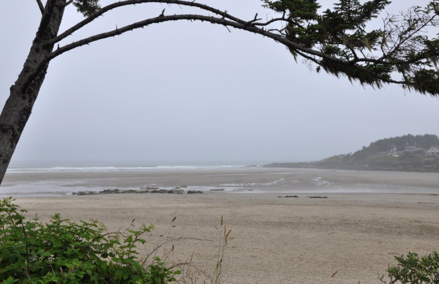 Yachats Ocean Road State Natural Site